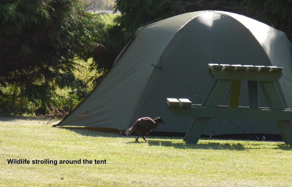 Carters Beach Top 10 Holiday Park Westport Exteriér fotografie